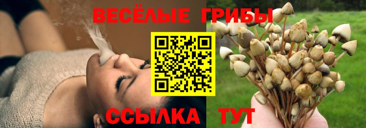 Галлюциногенные грибы Cubensis  Псилоцибиновые грибы Magic Shrooms  Муравленко  Вход с VPN 