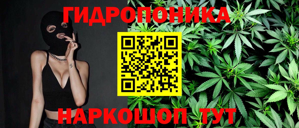 Конопля тримм Муравленко